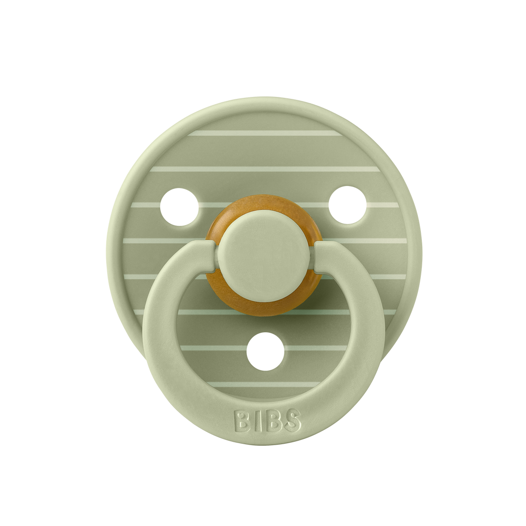 BIBS PACIFIERS - STUDIO COLLECTION (SIZES 1 AND 2) - Flynn Jaxon