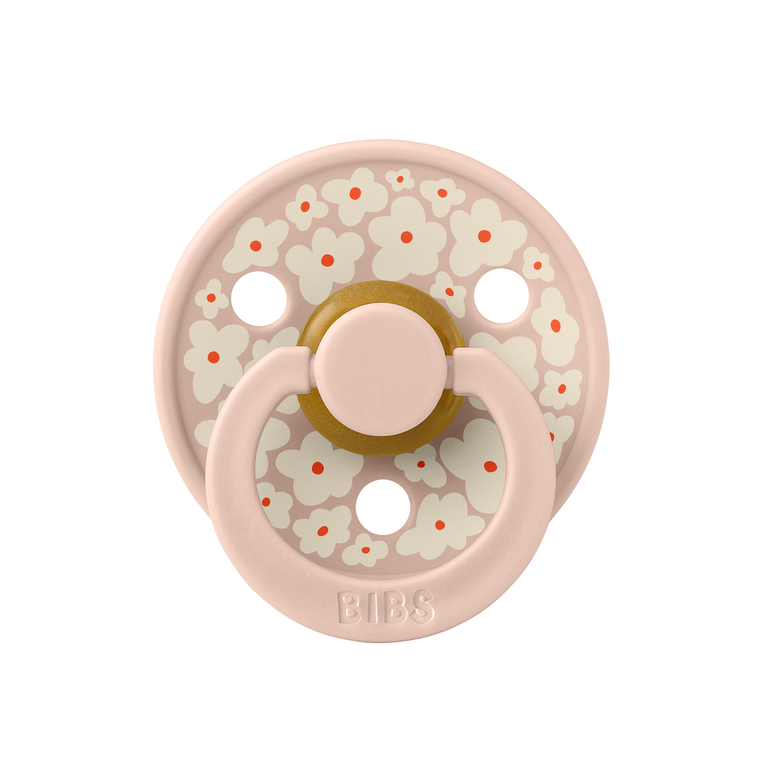 BIBS PACIFIERS - STUDIO COLLECTION (SIZES 1 AND 2) - Flynn Jaxon