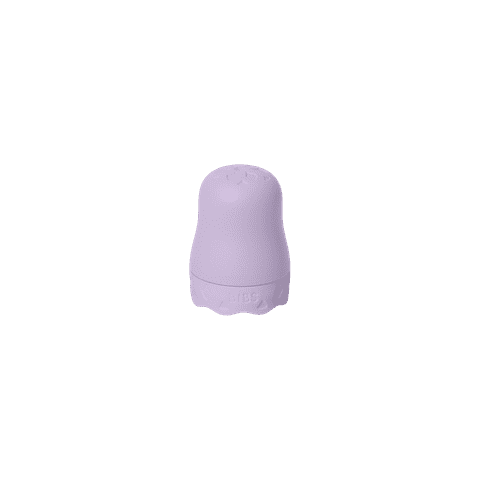 BIBS Bottle Kit